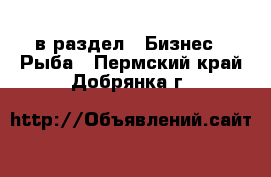  в раздел : Бизнес » Рыба . Пермский край,Добрянка г.